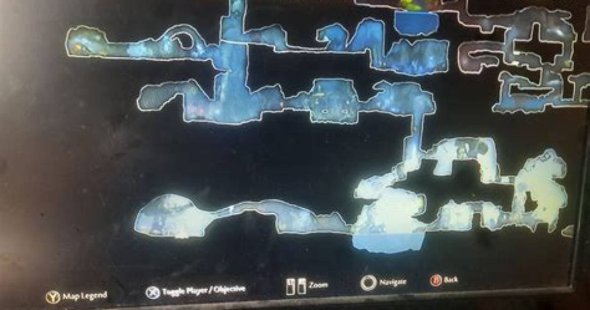 When to Do Black Root Burrows?