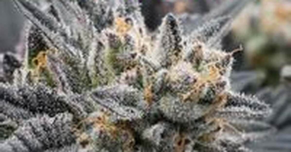 When to Increase Potency?