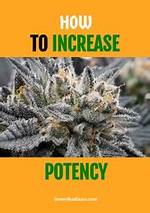 When to Increase Potency?