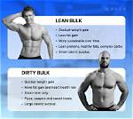 When to Lean Bulk?