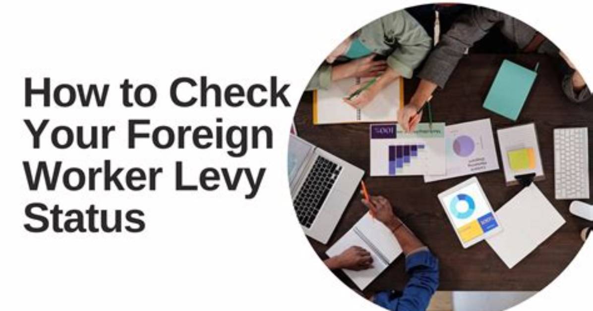 When to Pay Levy?