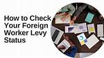 When to Pay Levy?