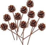 When to Pick Pinecone?