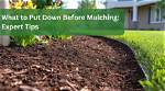 When to Put Down Mulch?