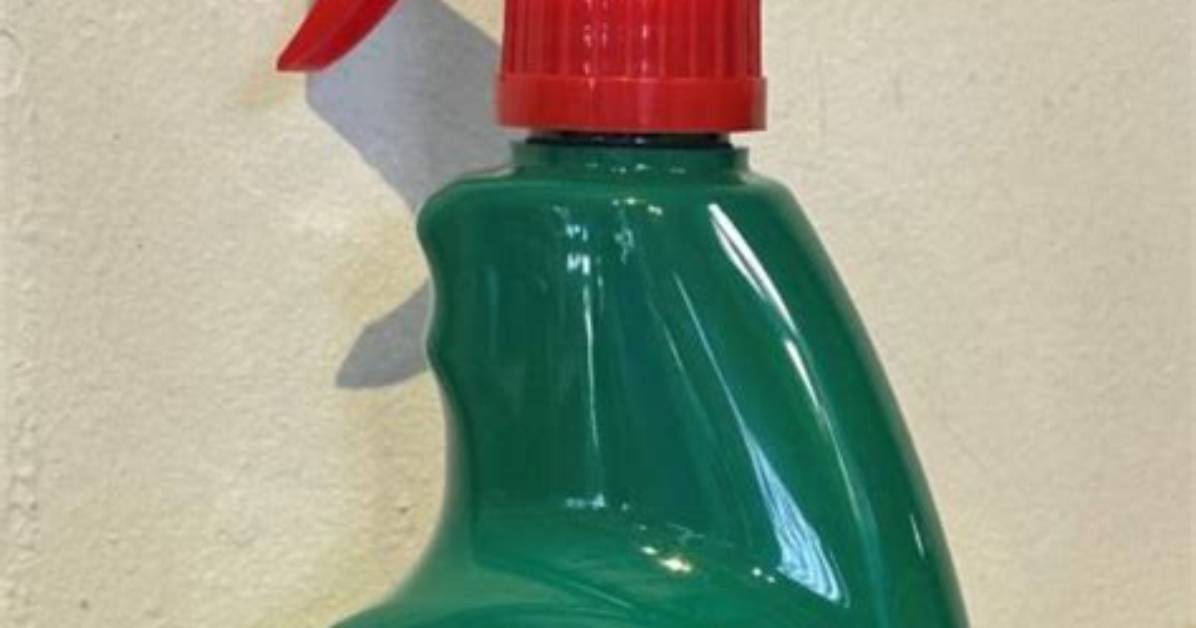 When to Spray Pyrethrum?