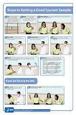 When to Take Sputum Sample?