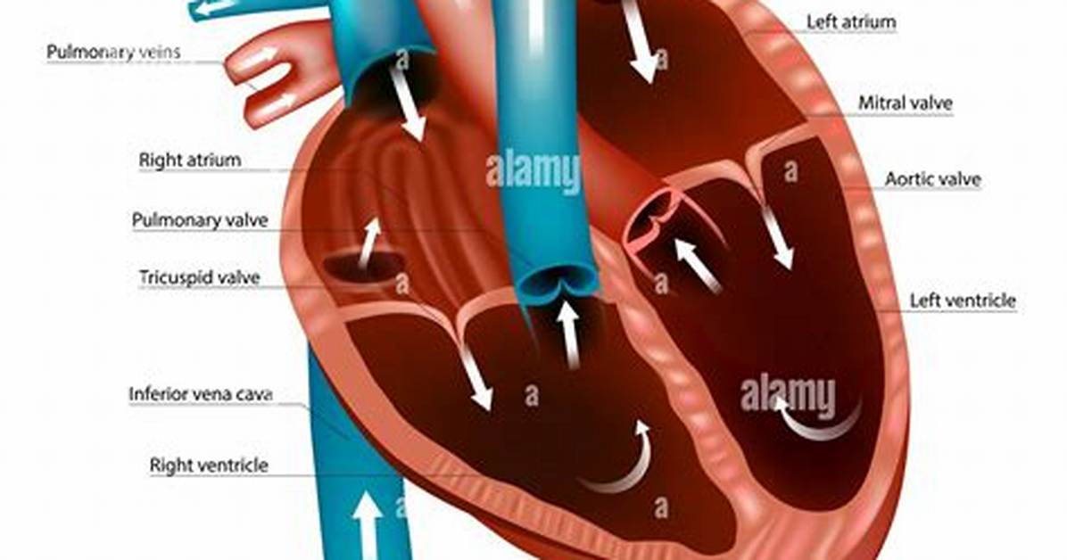 When to Use Heartstrings?