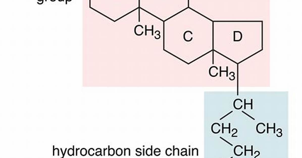 When to Use Hydroxyl?