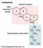When to Use Hydroxyl?