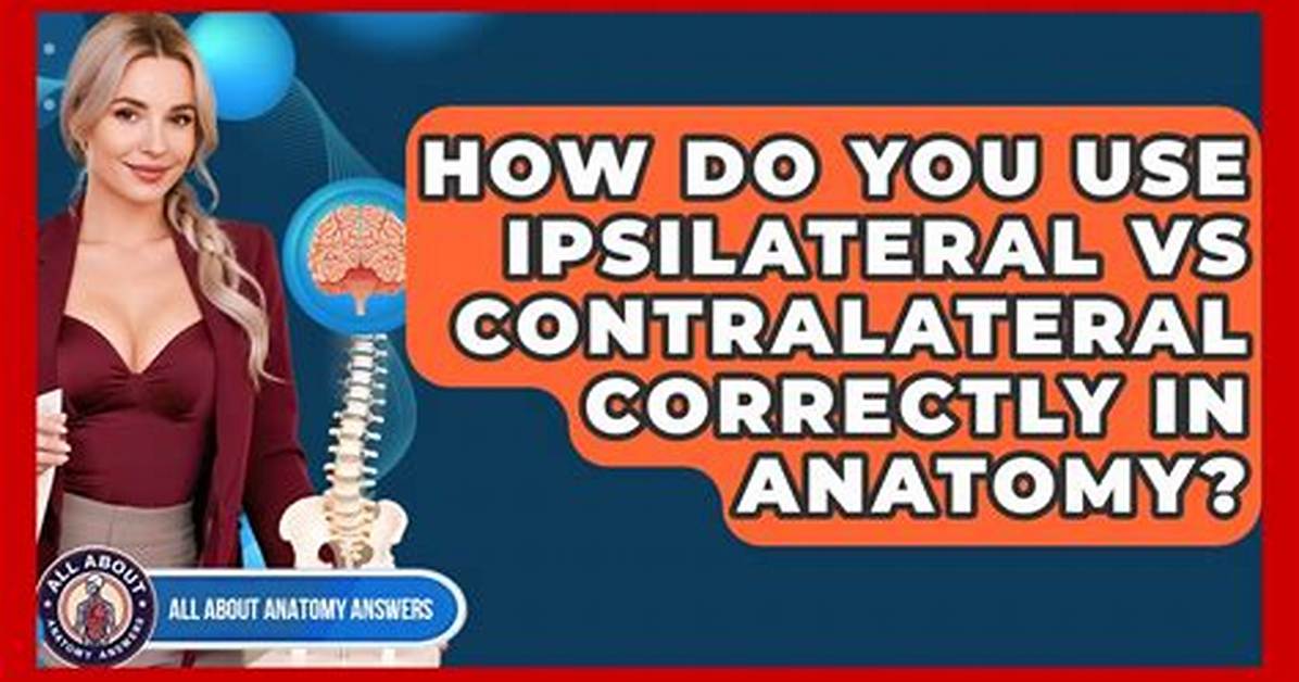 When to Use Ipsilateral?