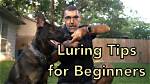 When to Use Luring?