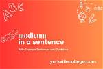 When to Use Modicum?