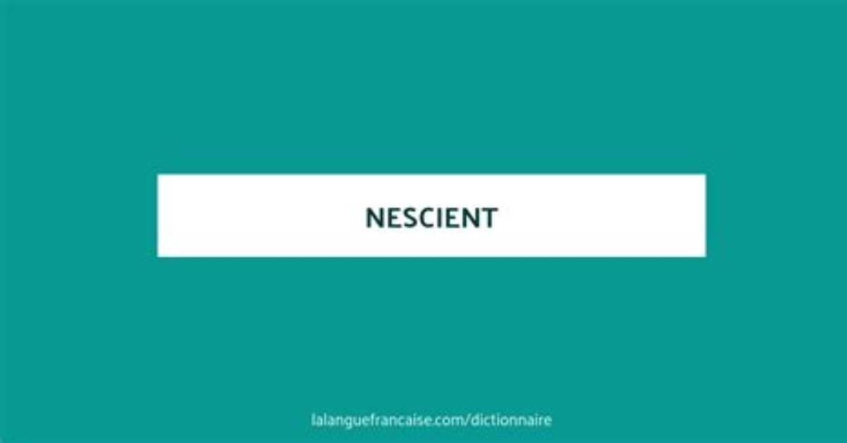 When to Use Nescient?