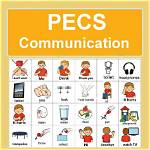When to Use Pecs?