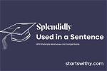 When to Use Splendidly?