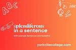 When to Use Splendiferous?