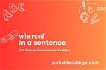 When to Use Whereof?