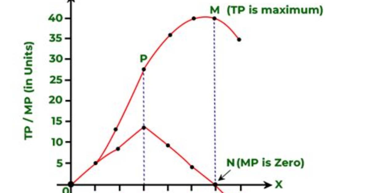 When Tp Is Maximum Mp Is?