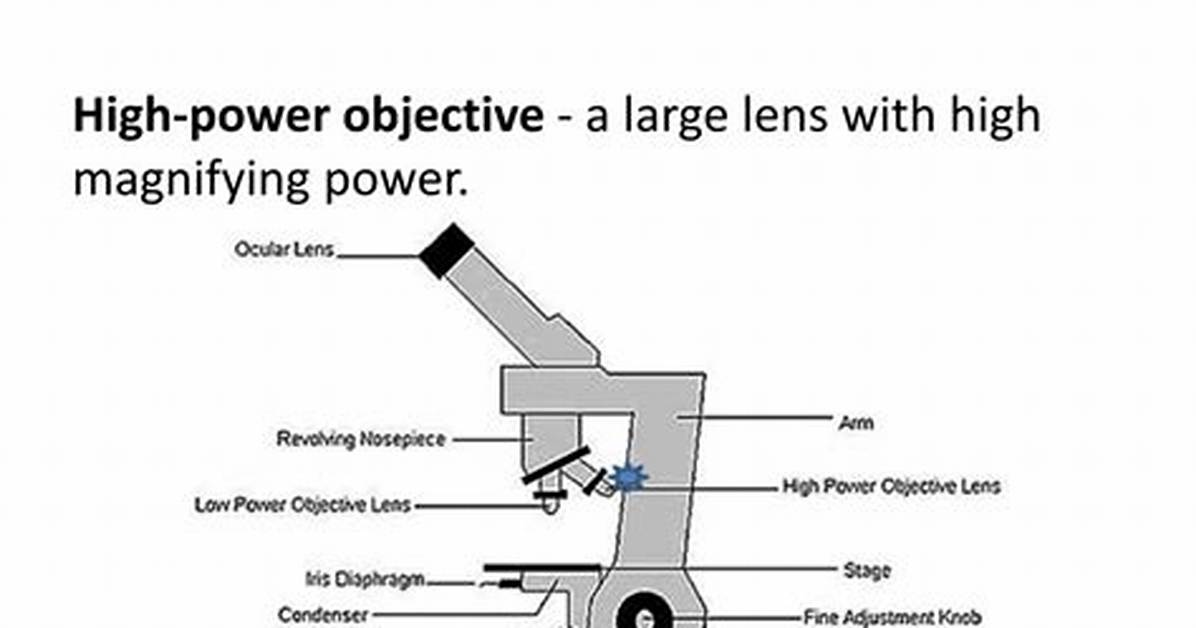 When Using High Power Objective Only the?
