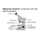 When Using High Power Objective Only the?