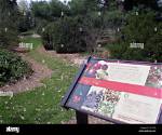 When Was Arboretum Established?