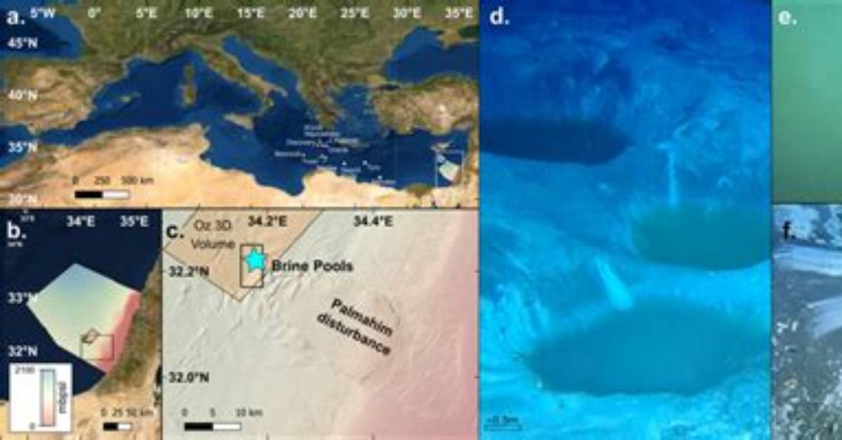 When Was Bathymetry Discovered?