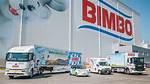 When Was Bimbo Created?