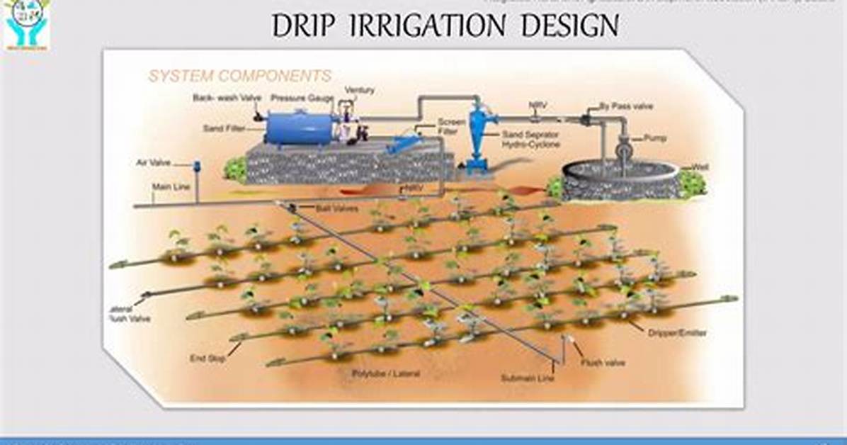 When Was Drip Irrigation Started?