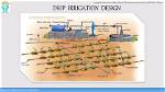 When Was Drip Irrigation Started?