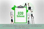 When Was Eco Scheme?