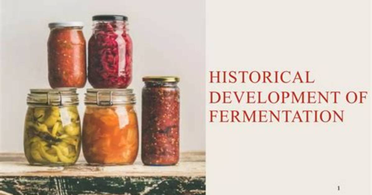 When Was Fermentation Discovered?