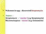 When Was Gentamicin Discovered?