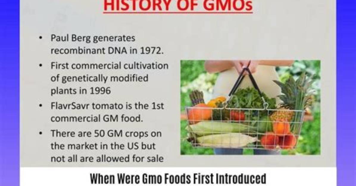 When Was Gmo Introduced?