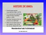 When Was Gmo Introduced?