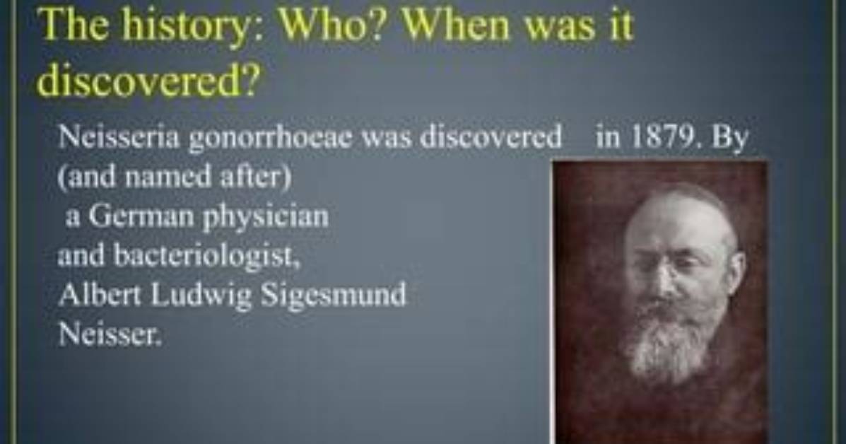 When Was Gonococci Discovered?