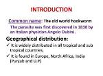 When Was Hookworm First Discovered?