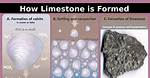 When Was Limestone Formed?