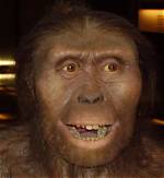When Was Lucy Discovered?