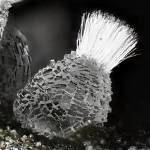 When Was Mesolite Discovered?