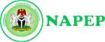 When Was Napep Established?