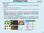 When Was Piperine Discovered?