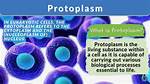 When Was Protoplasm Discovered?