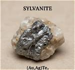 When Was Sylvanite Discovered?