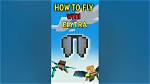When Was the Elytra Update?