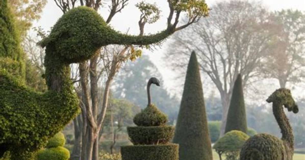 When Was Topiary Discovered?
