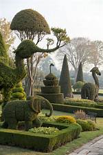 When Was Topiary Discovered?