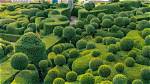 When Was Topiary First Used?