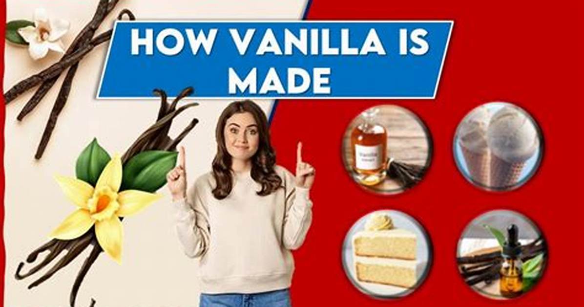 When Was Vanilla Made?