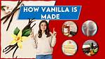 When Was Vanilla Made?