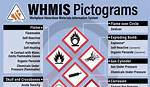When Was Whmis Created?